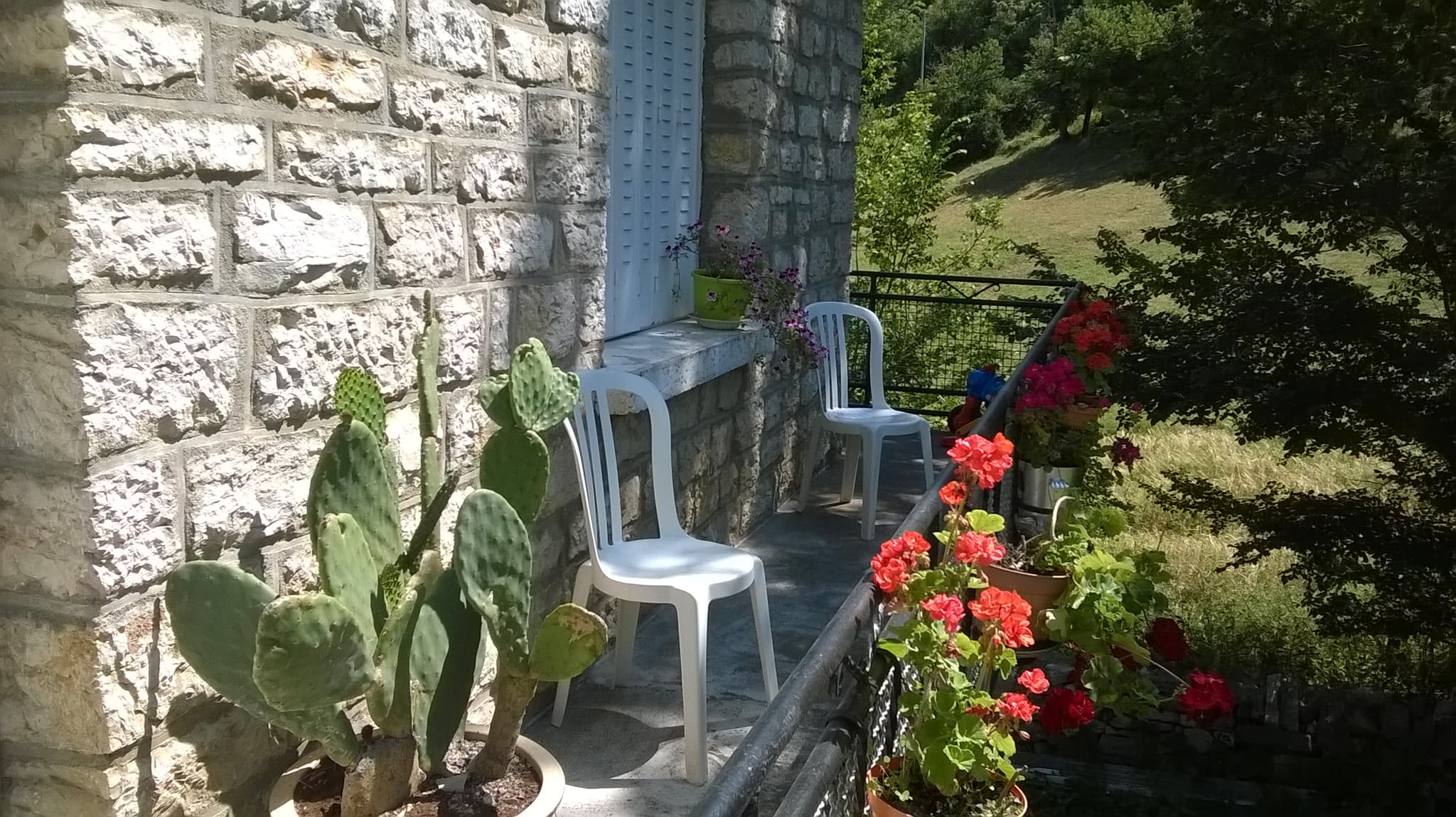 WP_20180704_032