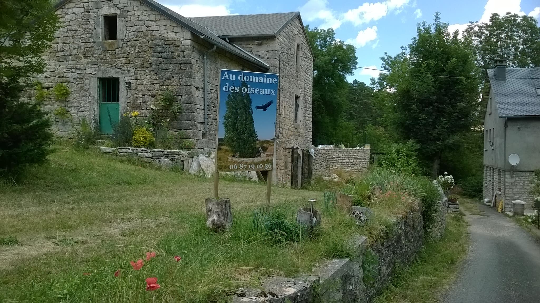 WP_20180704_041