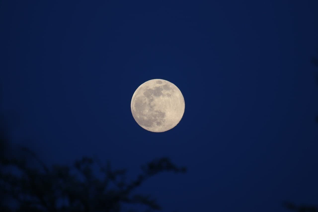 Lune