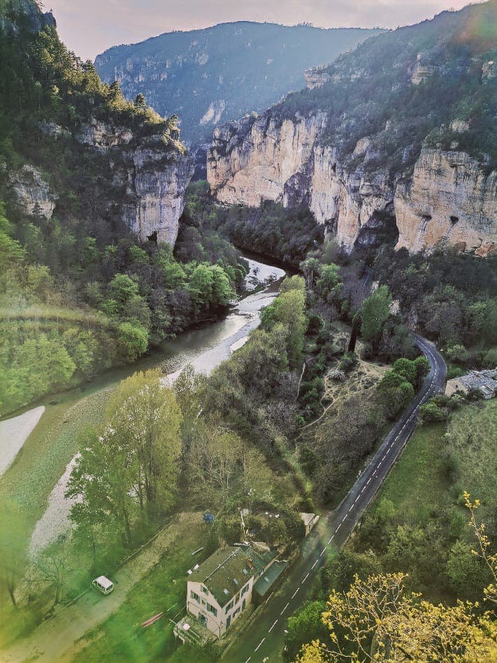 Le Cirque