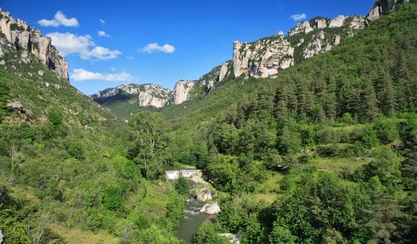 Le jardin des cévennes