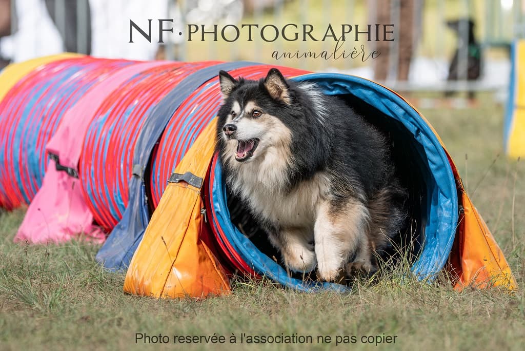 Canifun-2024©NF-Photographies