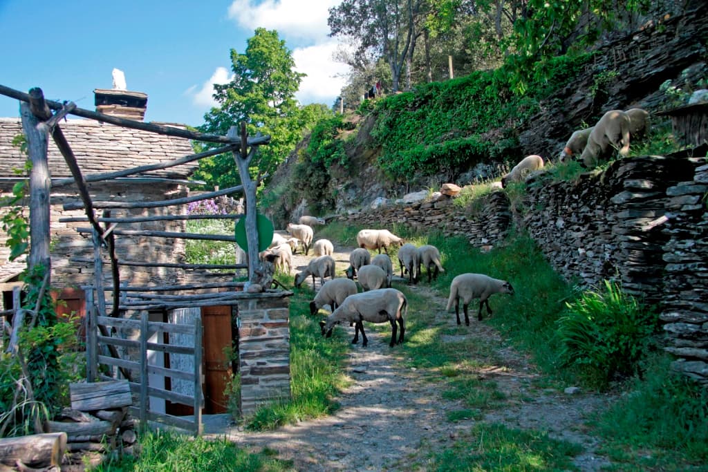 Chambres d'hôtes entrée sapinette