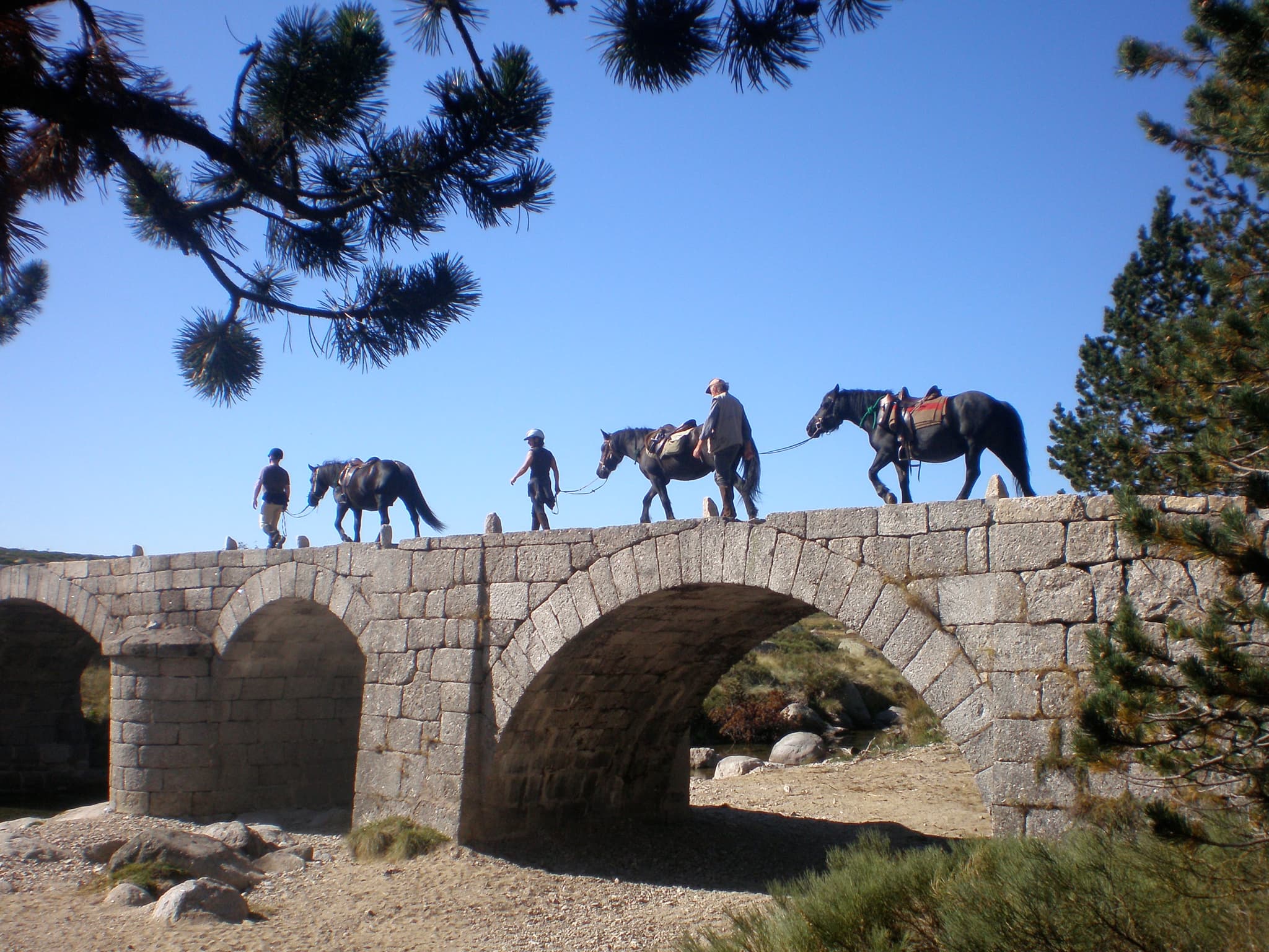 Ballade avec un ane / en cheval