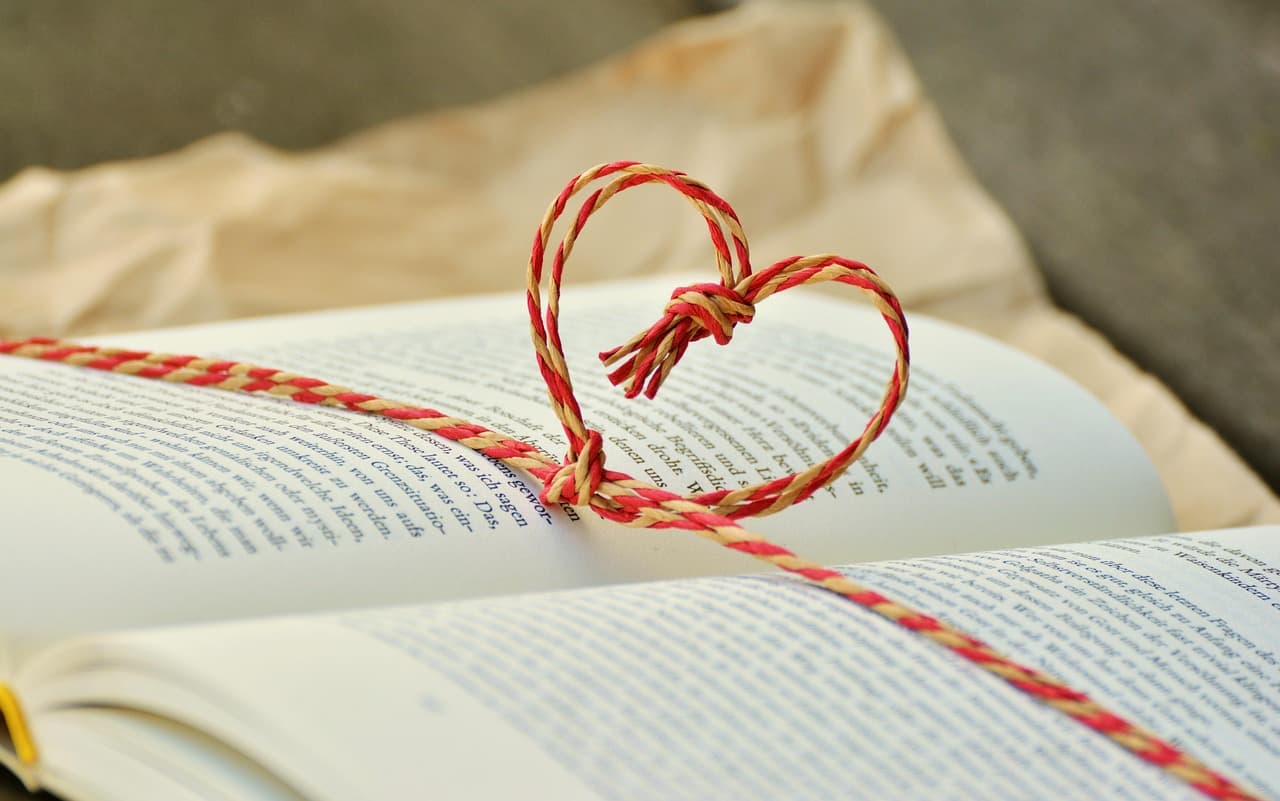 Congerdesign-a-book-1760998_1280
