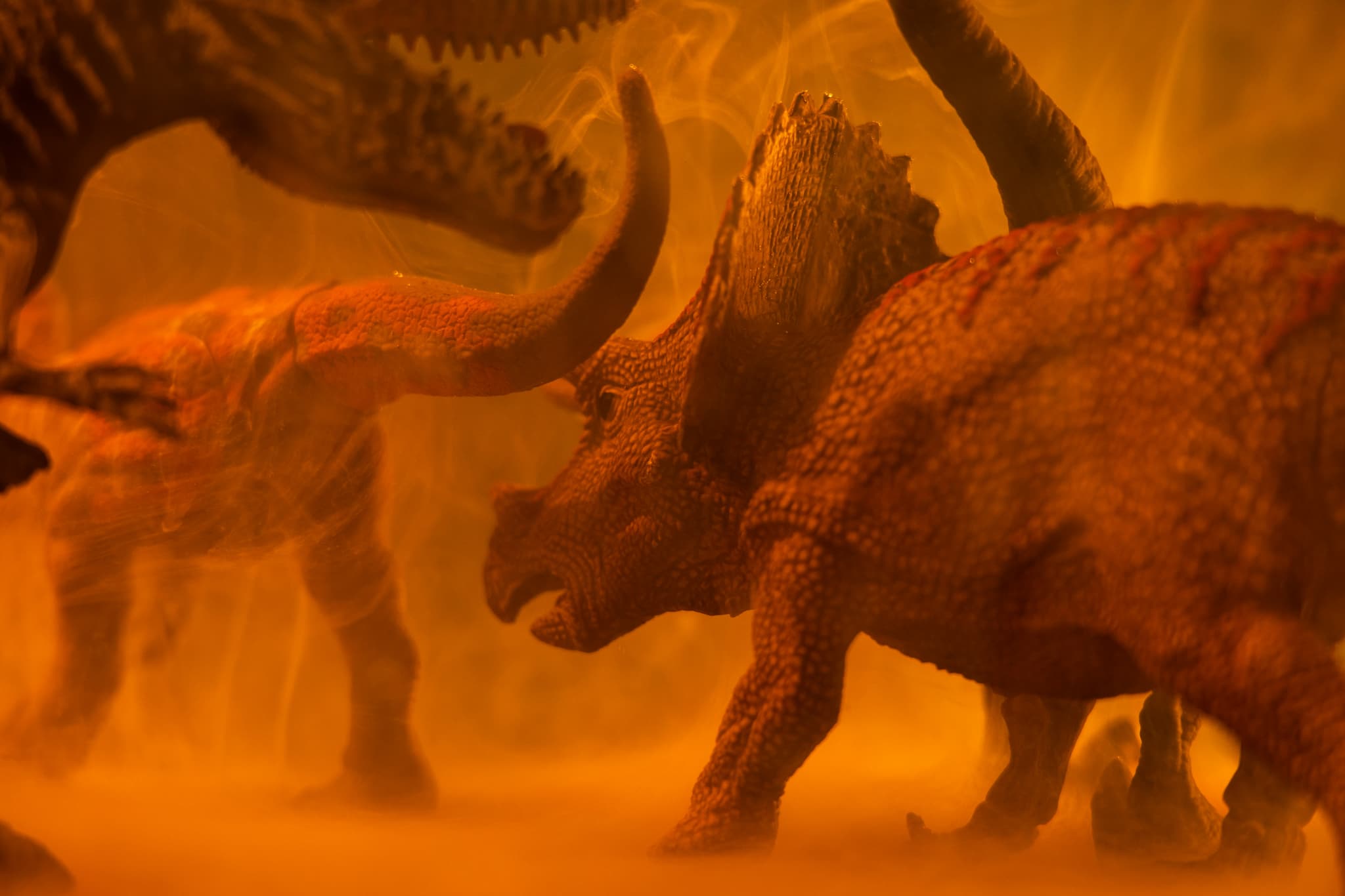 Dinosaures