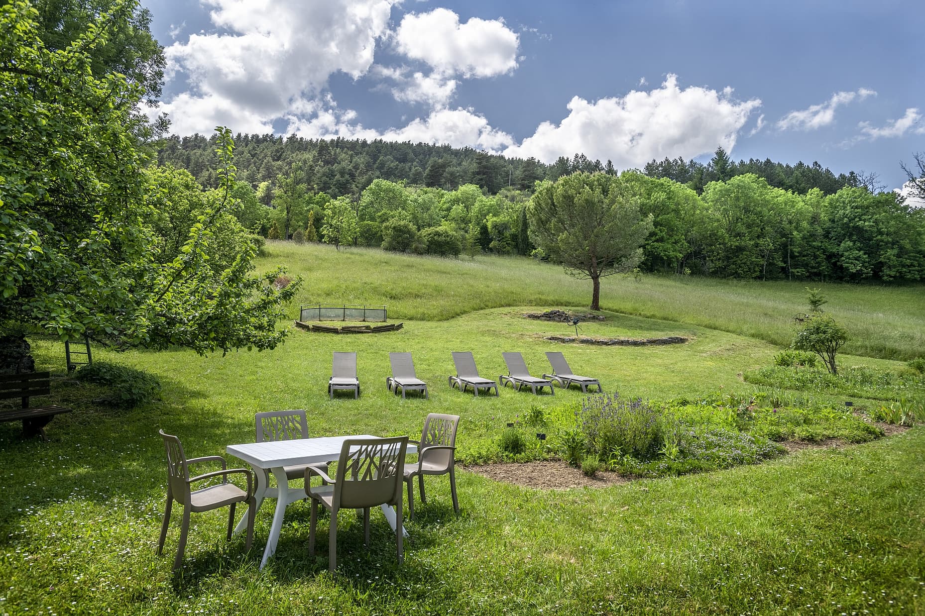 Le jardin