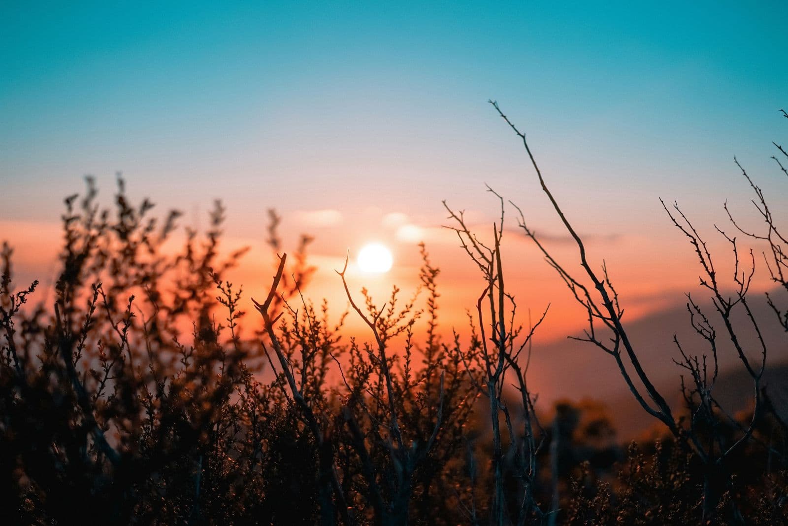 Lever du soleil