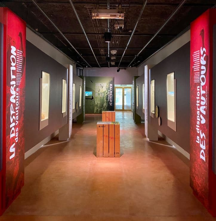 Musée - La disparition