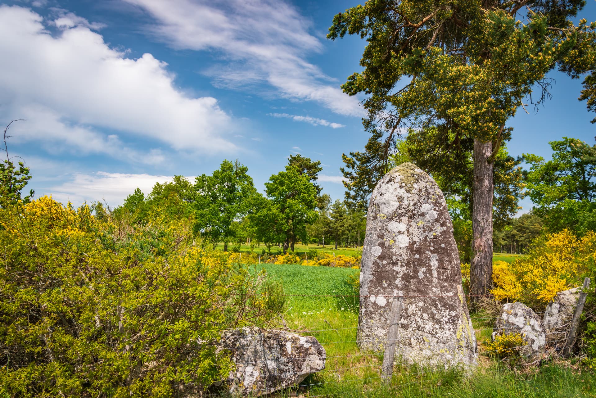 Menhir de pinjo chabre
