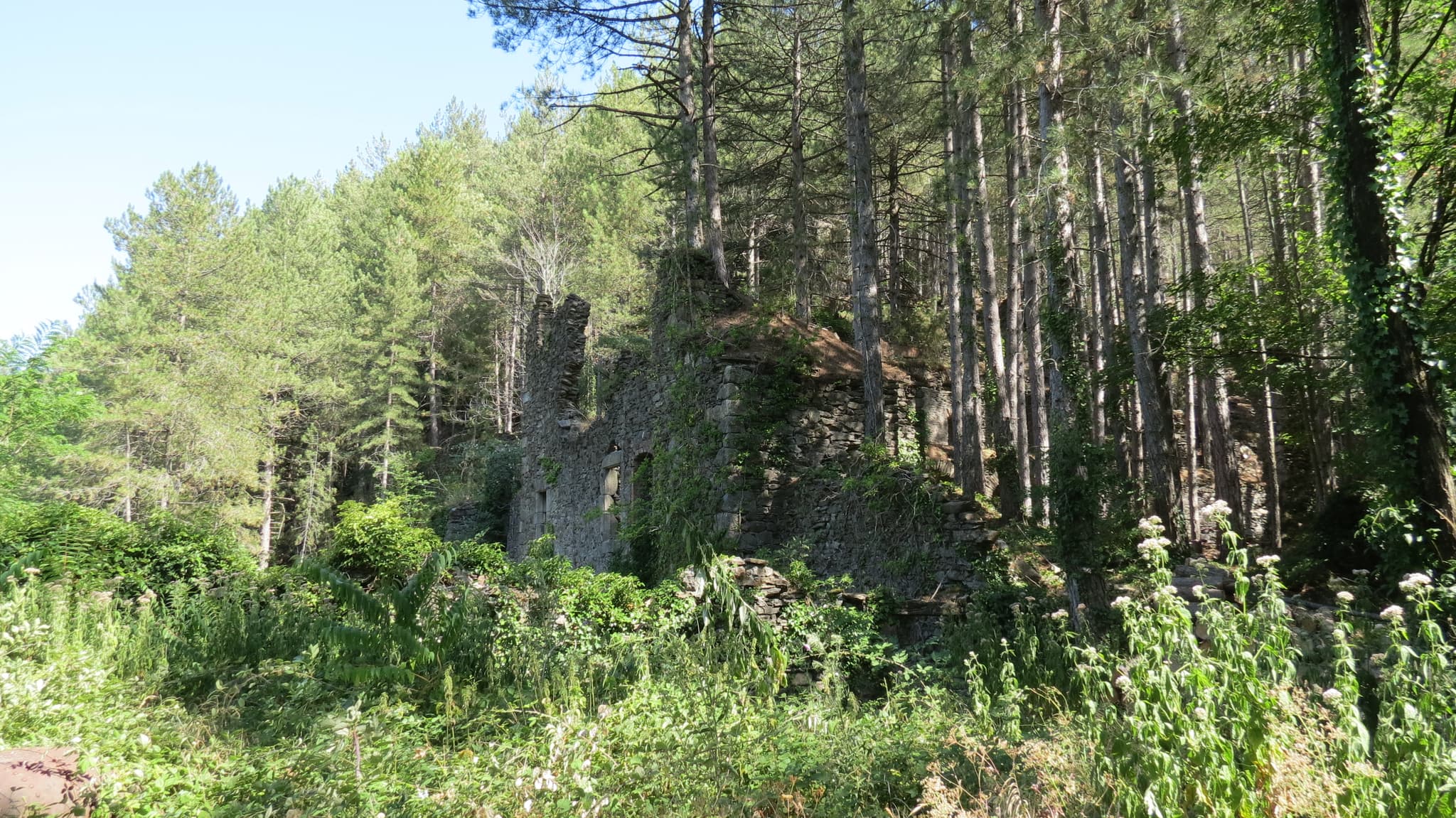 Mines de plomb argentifère de Vialas