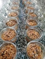 Mousse chocolat