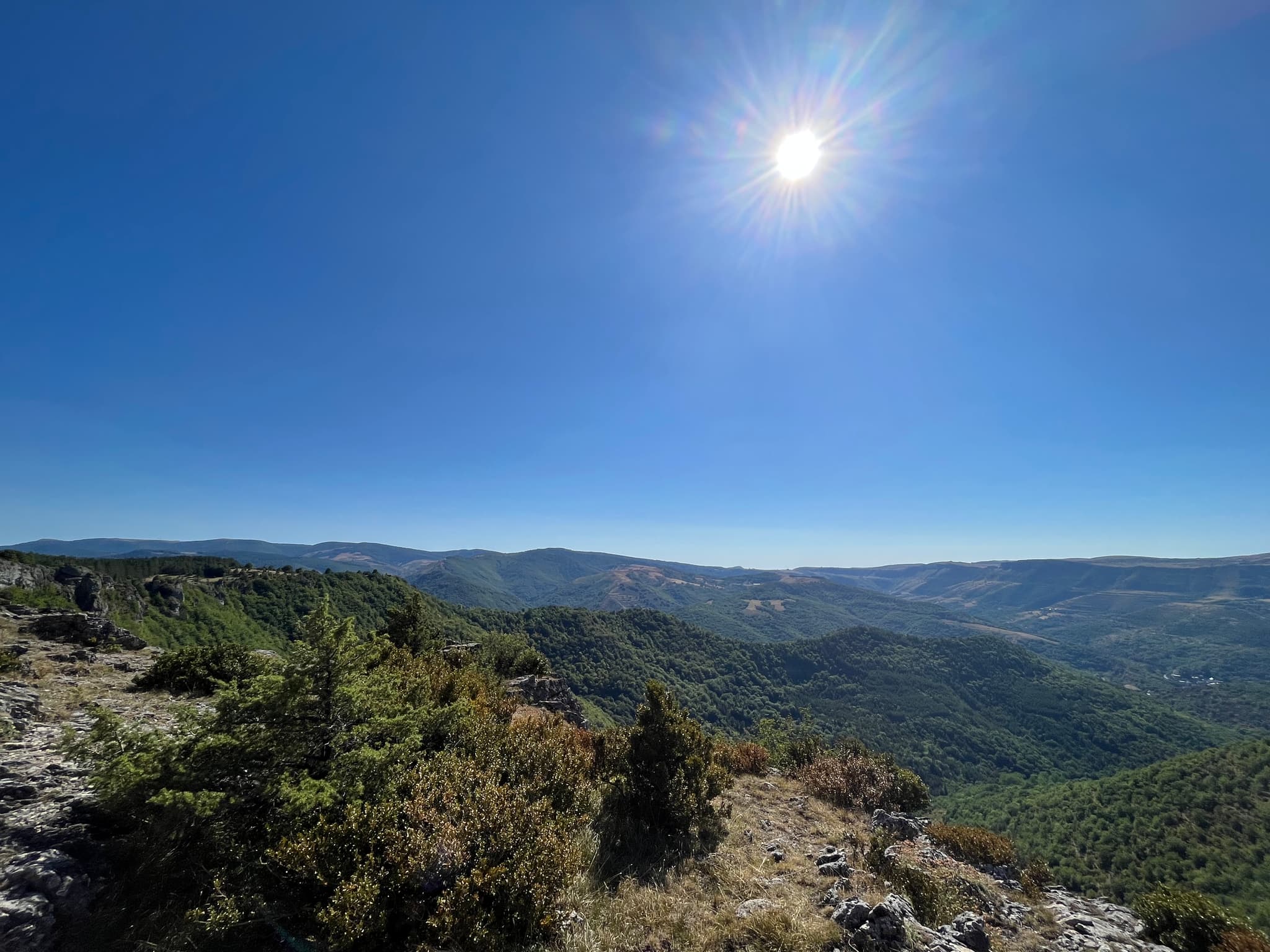Paysage can