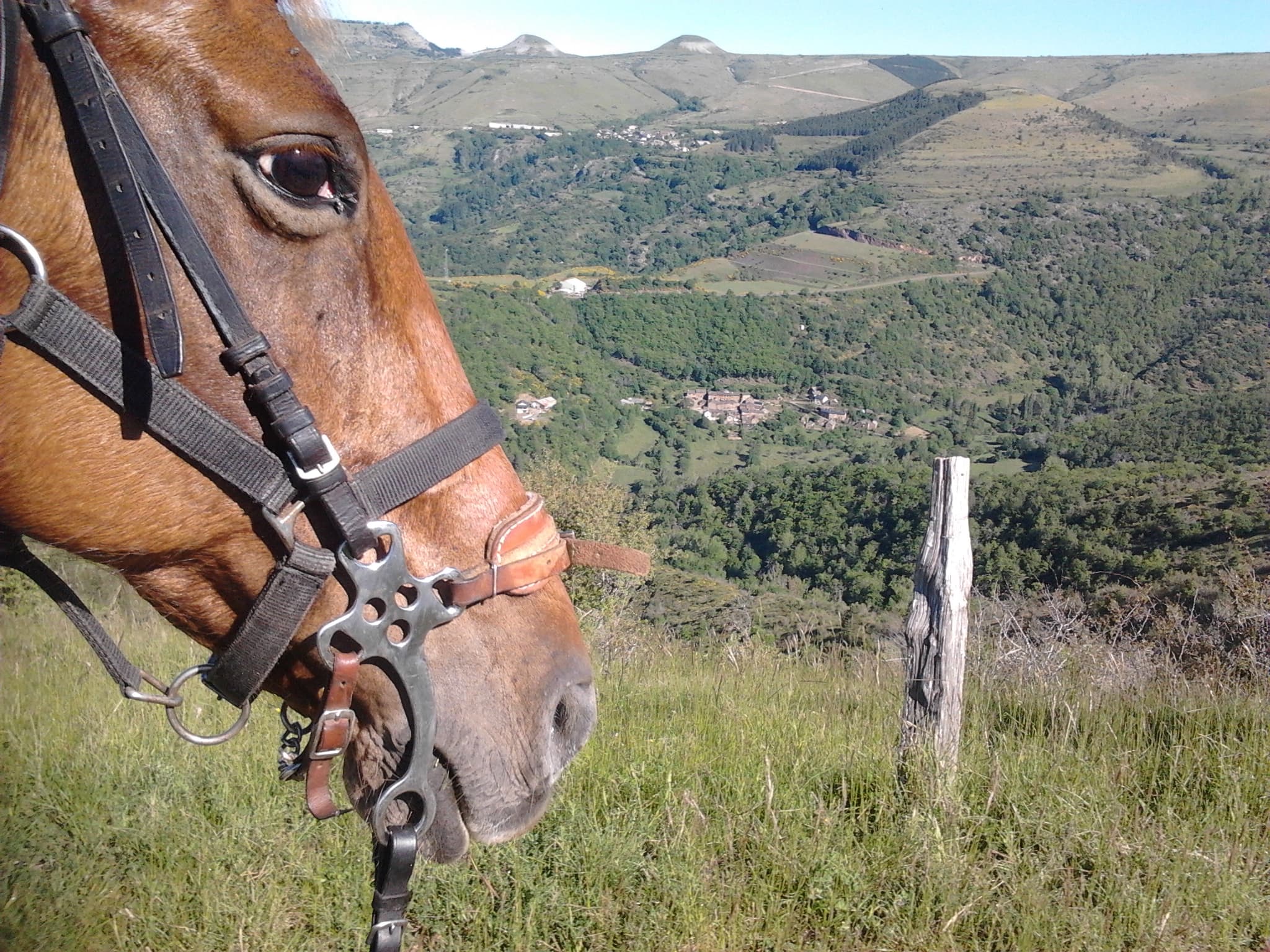 Randonnée dans les Cévennes