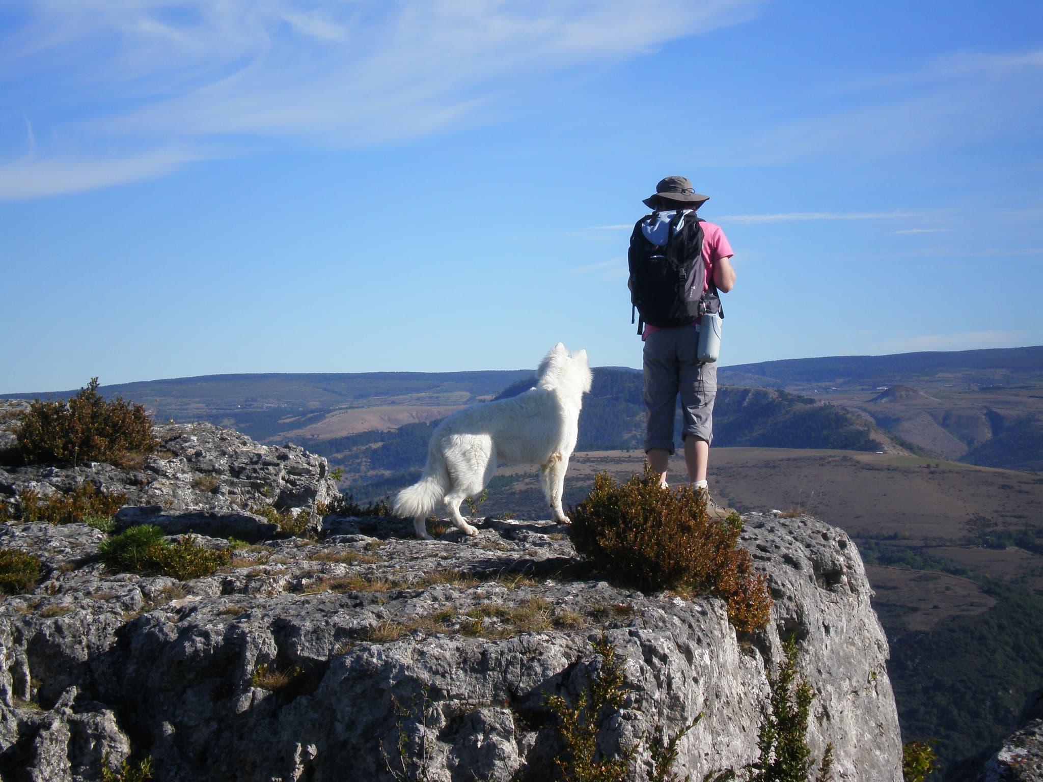 Sur le bord du causse Méjean
