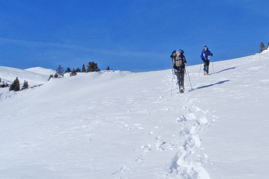 Rando raquettes Mont-Lozere
