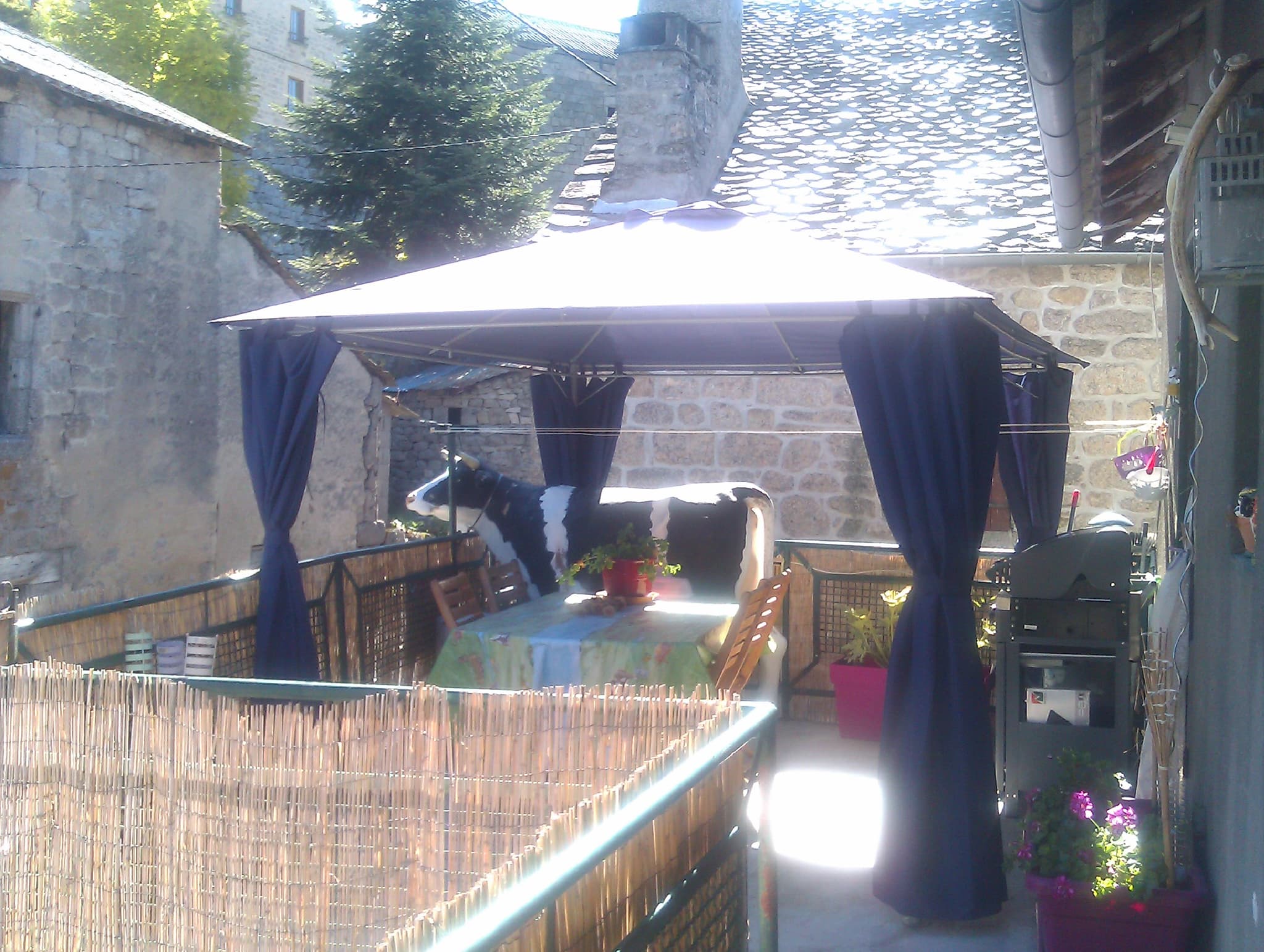 Terrasse-5