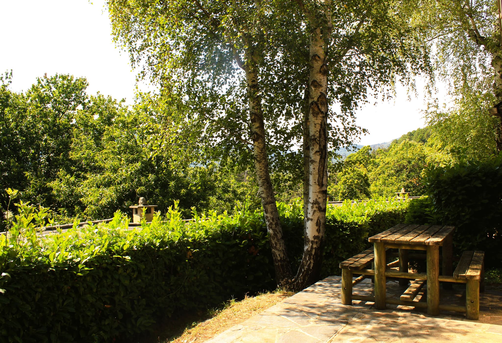 Terrasse gîte