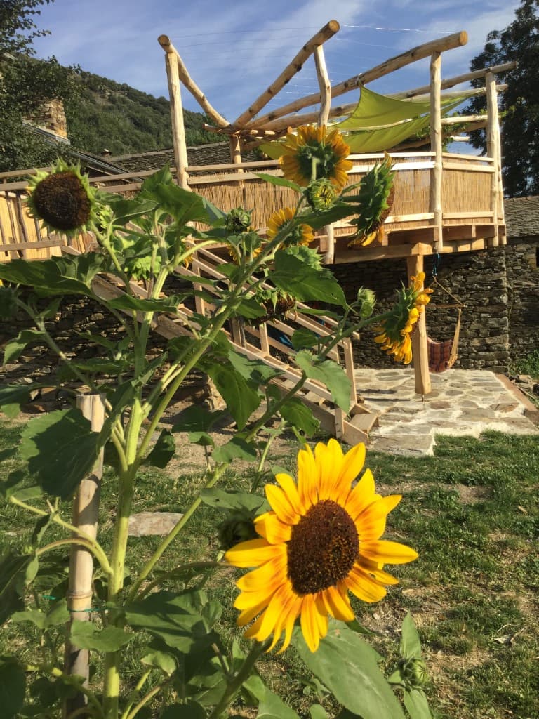 Tournesol - bulle do2