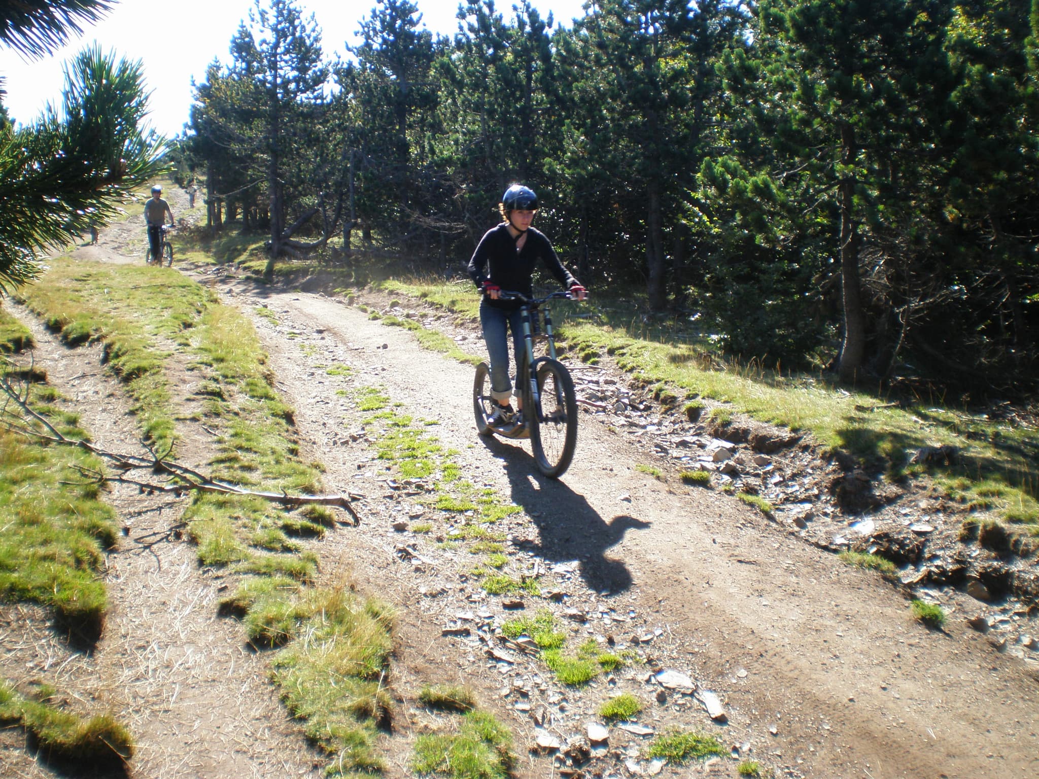 Descente de l'Aigoual en trottinette