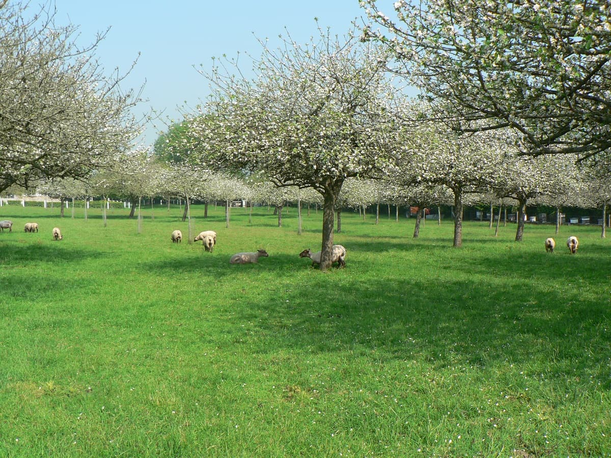 PORT-BAIL-DOMAINE DE RUGUEVILLE-3
