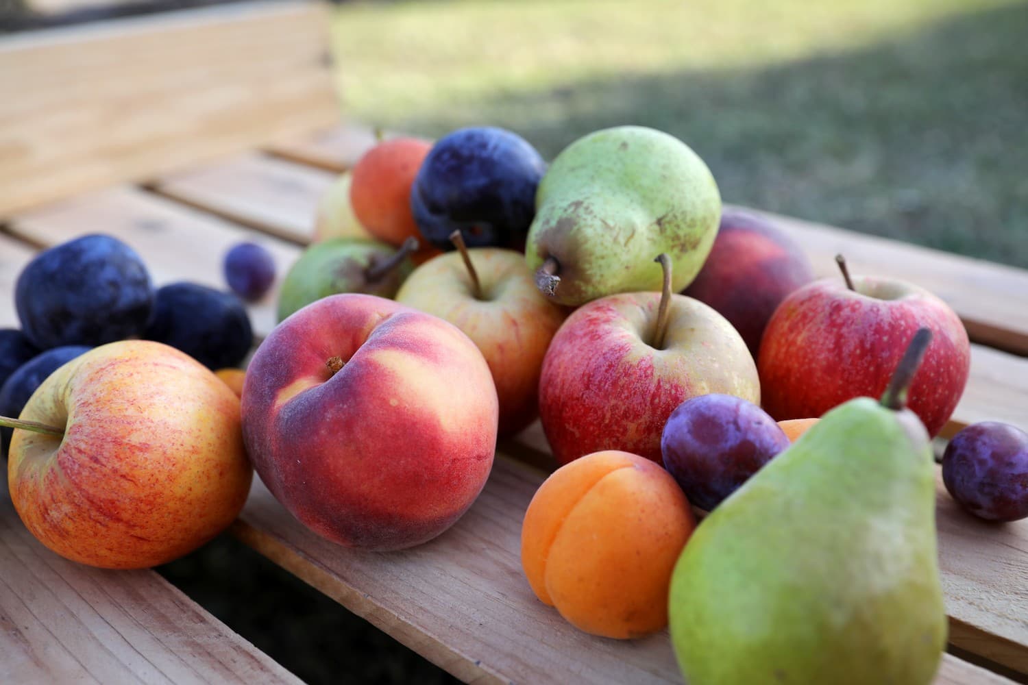 fruits