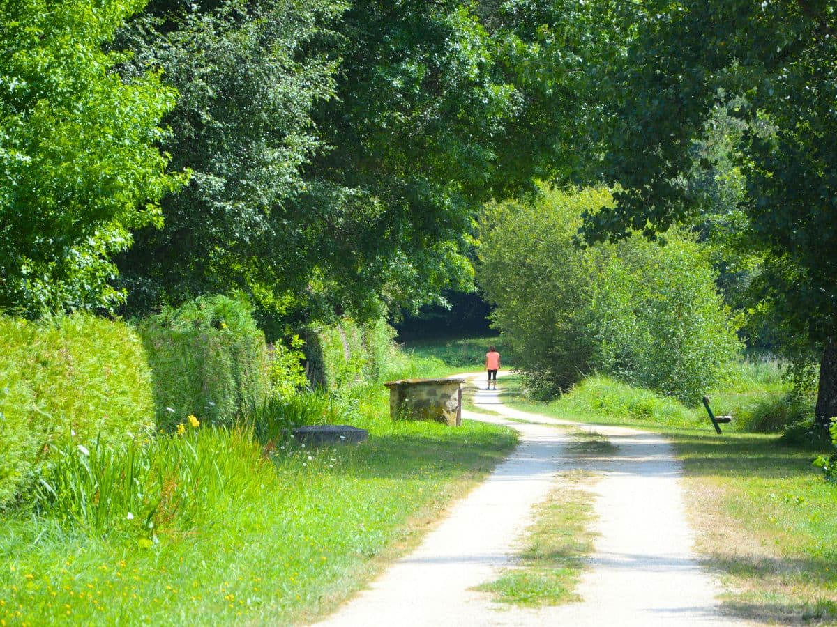 Aire de pique-nique - Flavignac