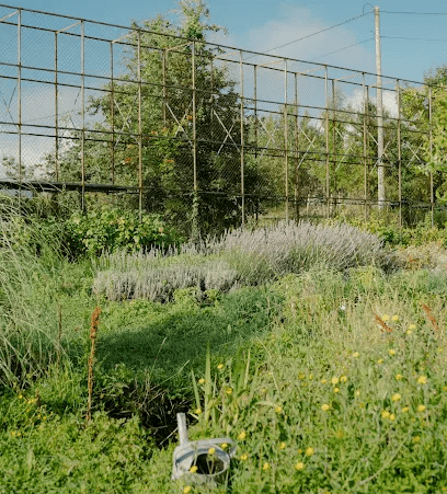 Ferme de Jeanmetge