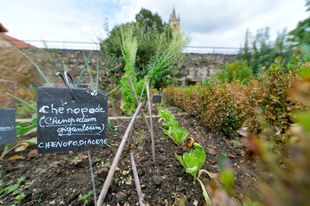 Geaune jardin médiéval