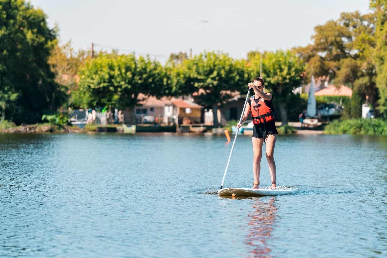 paddle