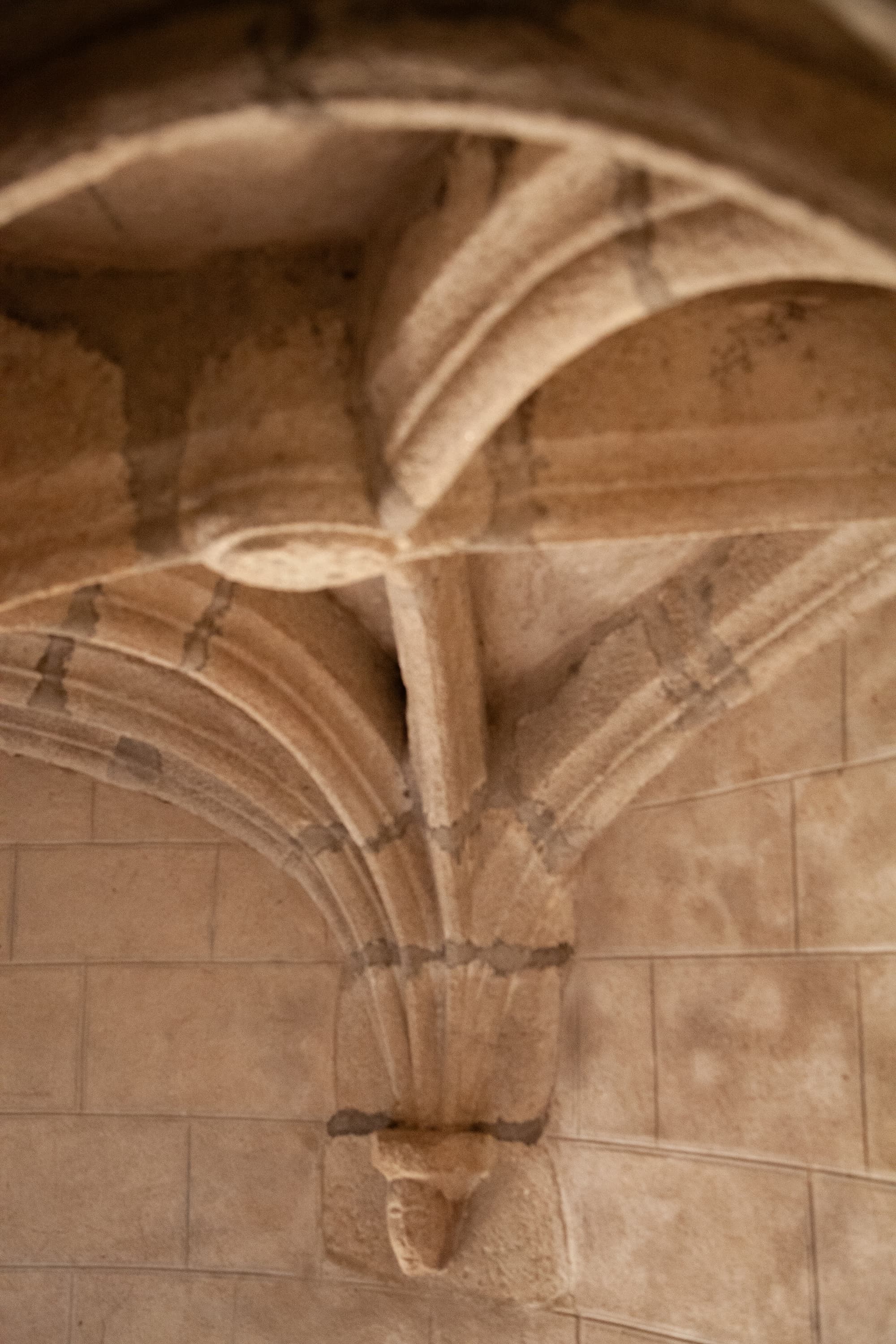 Le haut du donjon