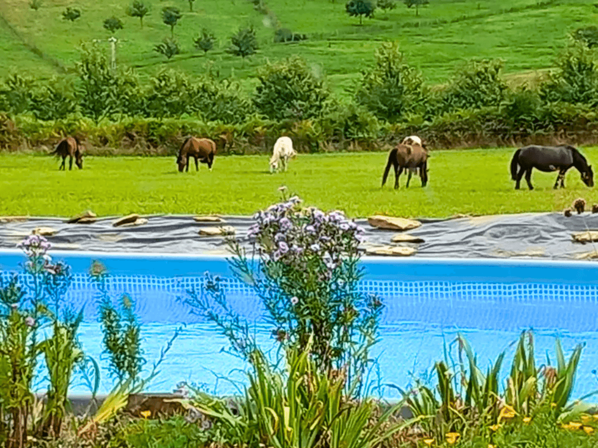 Domaine des Maisons - Châlus