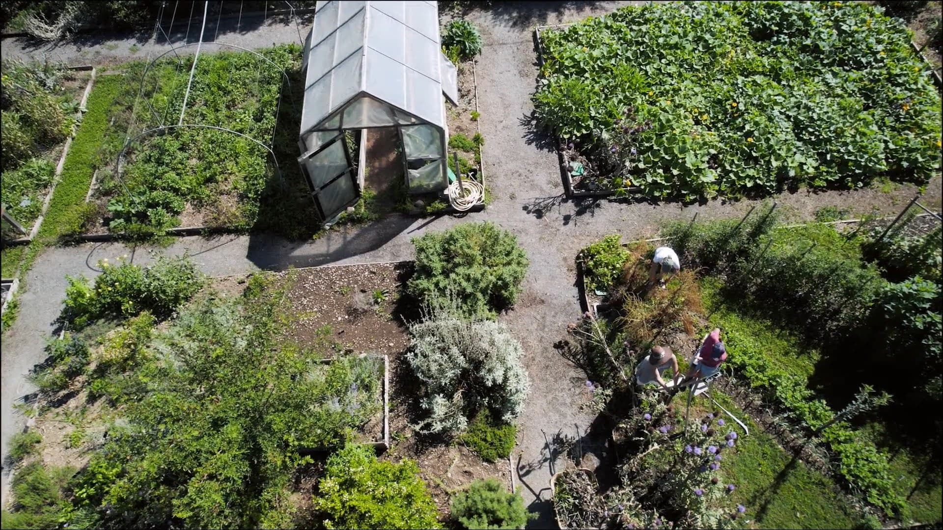 jardin vue aérienne
