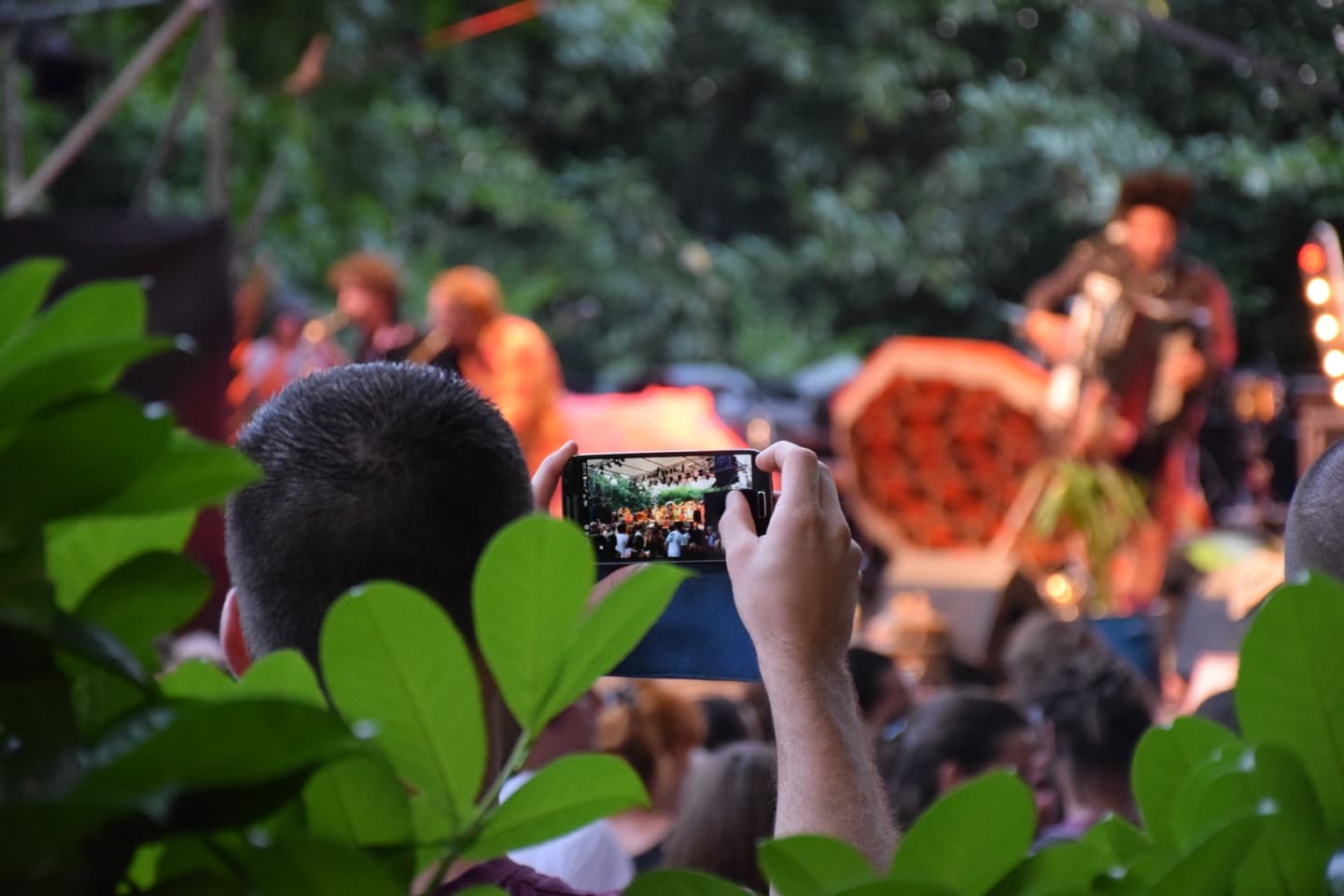 Concert dans l'amphithéâtre