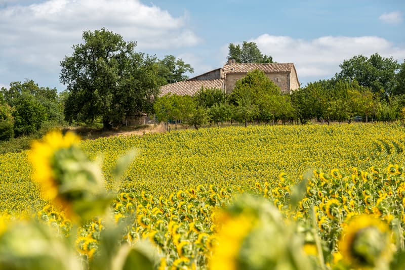 Villeréal_Gîte de Jeancel (26)
