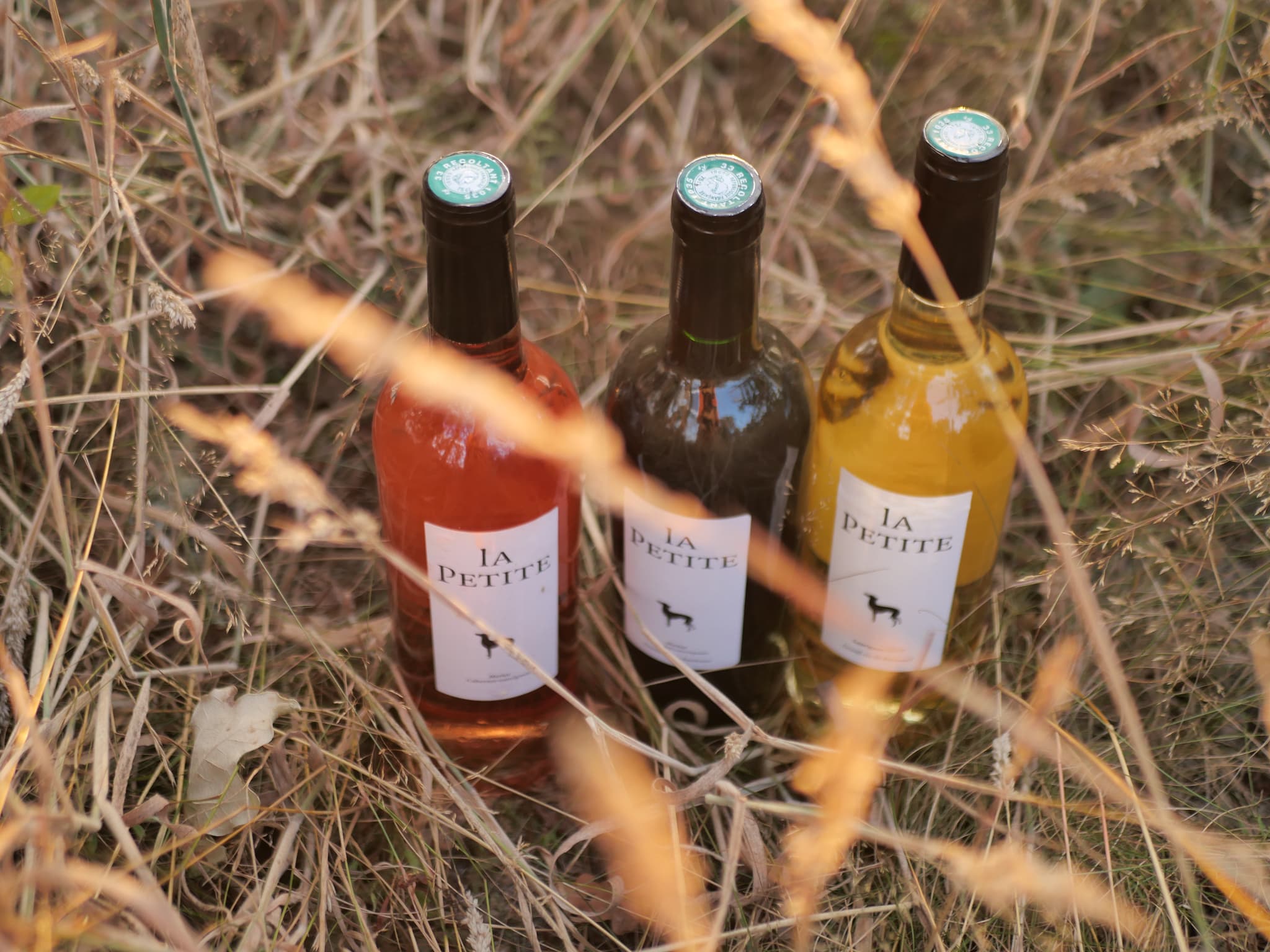 château la Levrette - la Petite