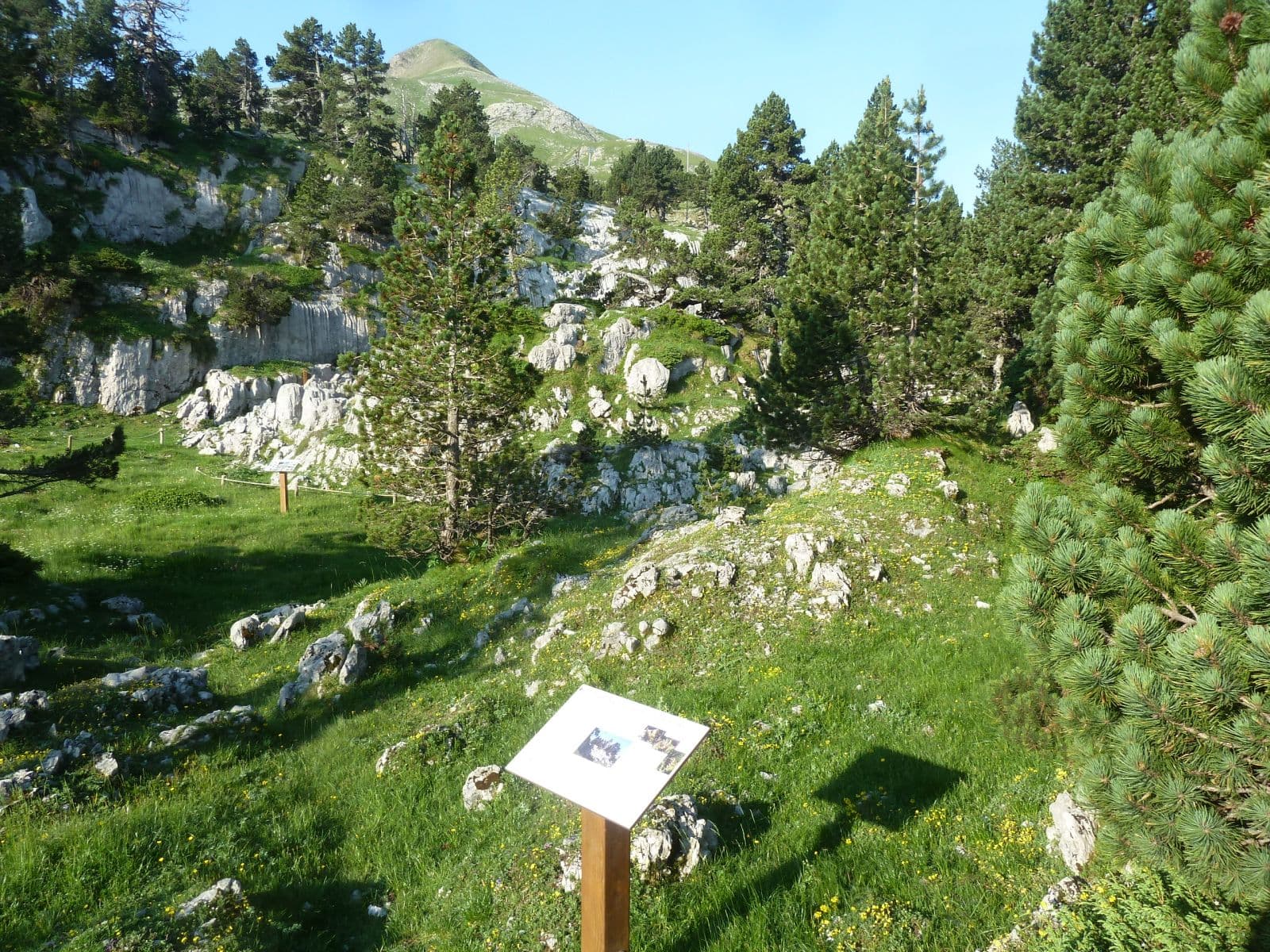 Sentier botanique Marcel Saule