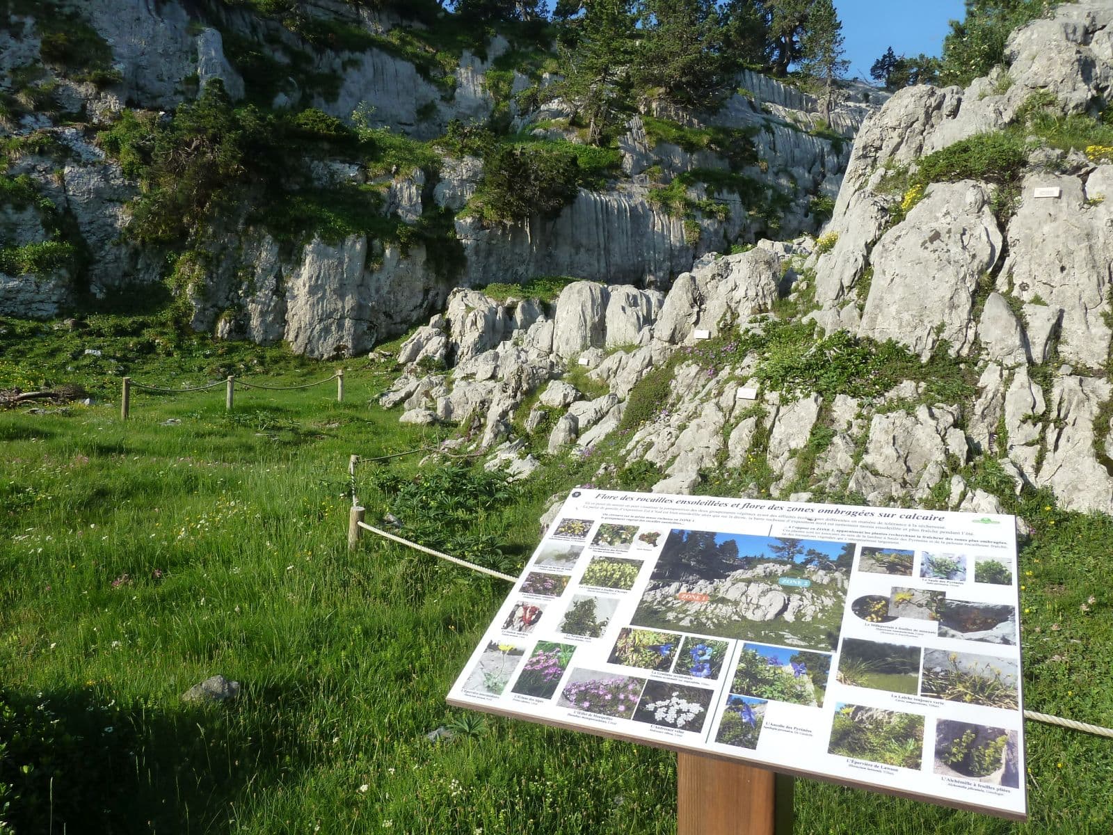 Sentier botanique Marcel Saule