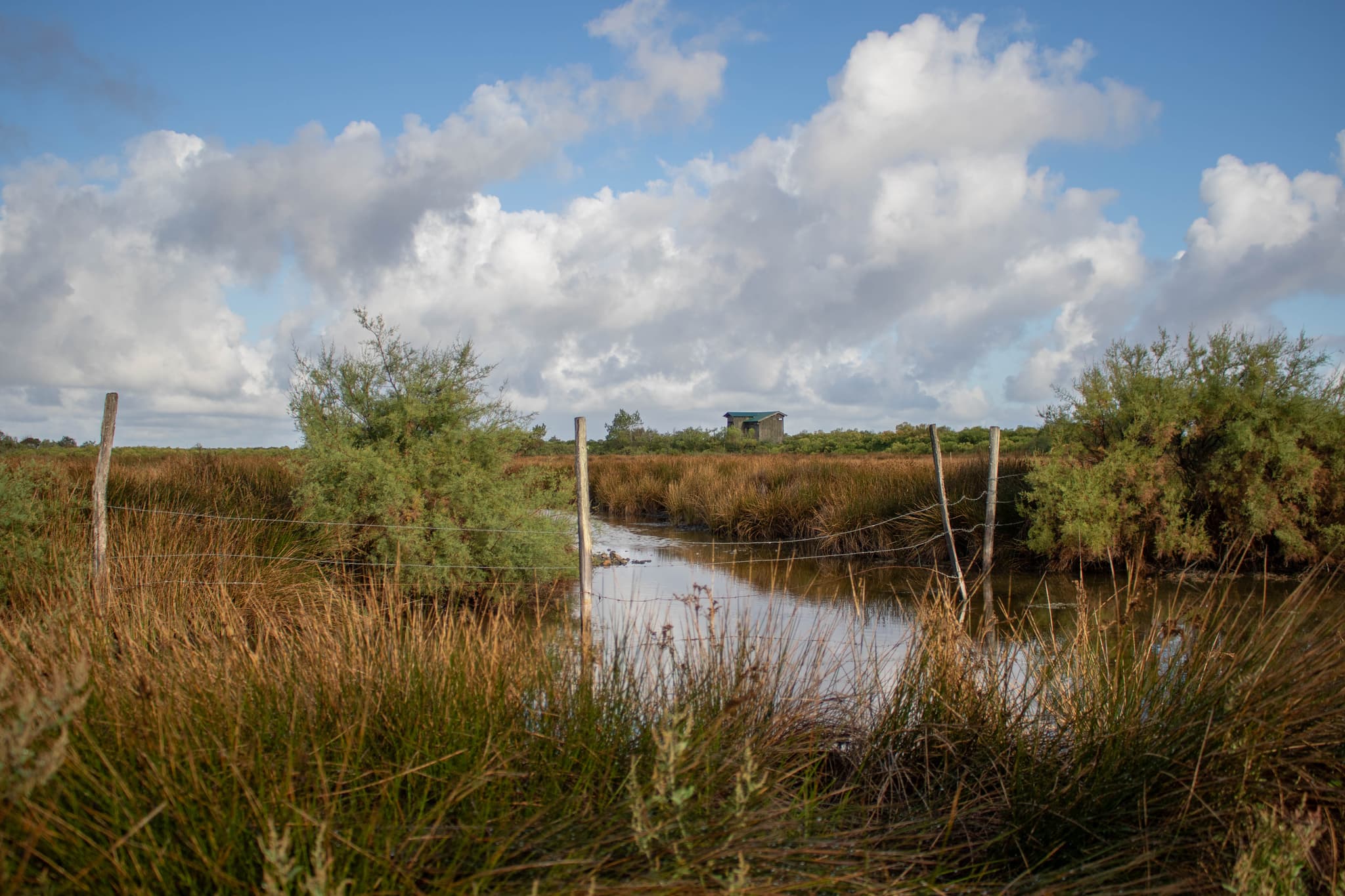 Réserve ornithologique du Teich, Bassin d'Arcachon
