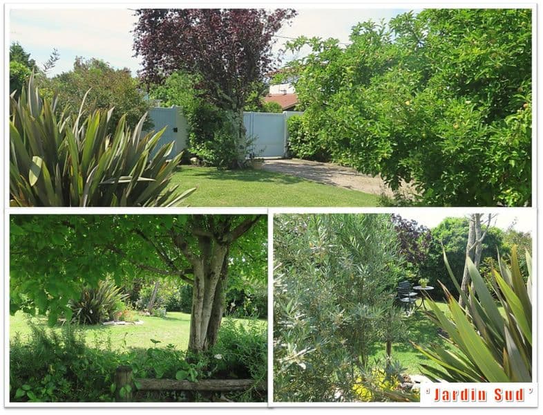 Jardin