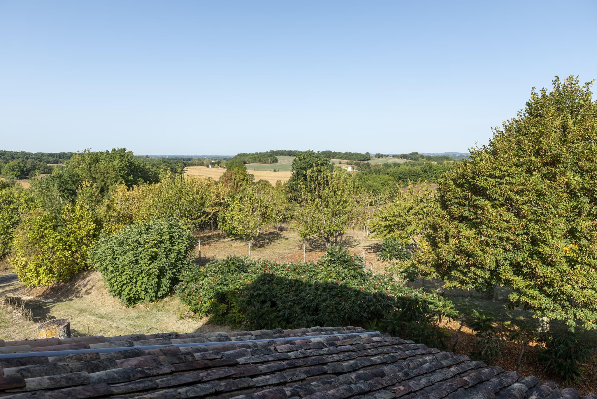 Villeréal_Gîte de Jeancel (19)