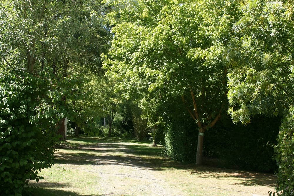 Le camping