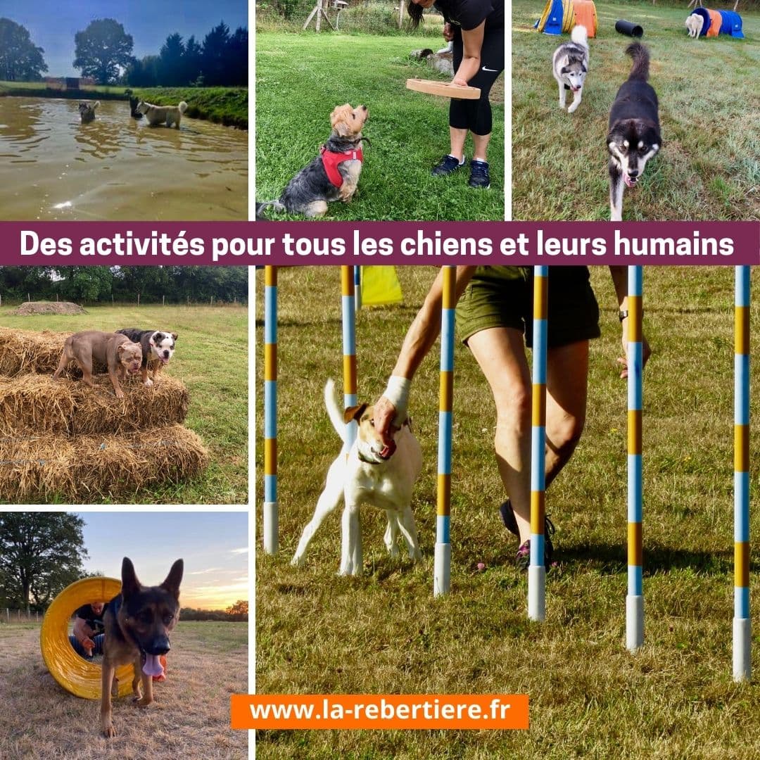 Baignade, jeux de réflexion, des activités pour tous