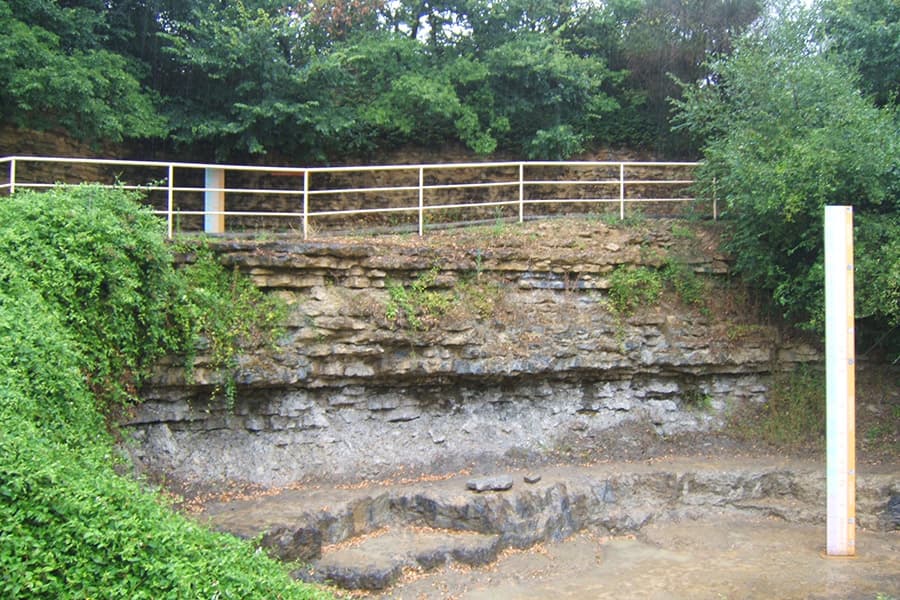 Reserve Naturelle du Toarcien Geologie Decouverte Ste Verge Thouarsais