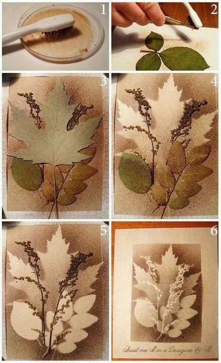 herbier en empreintes