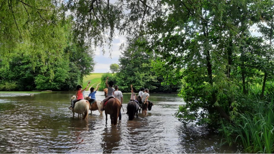Poney club des retrouvailles - Voulême - 6