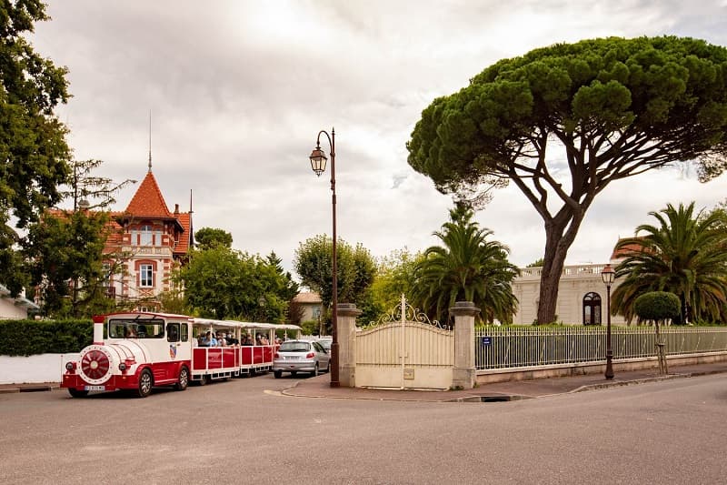 Petit train