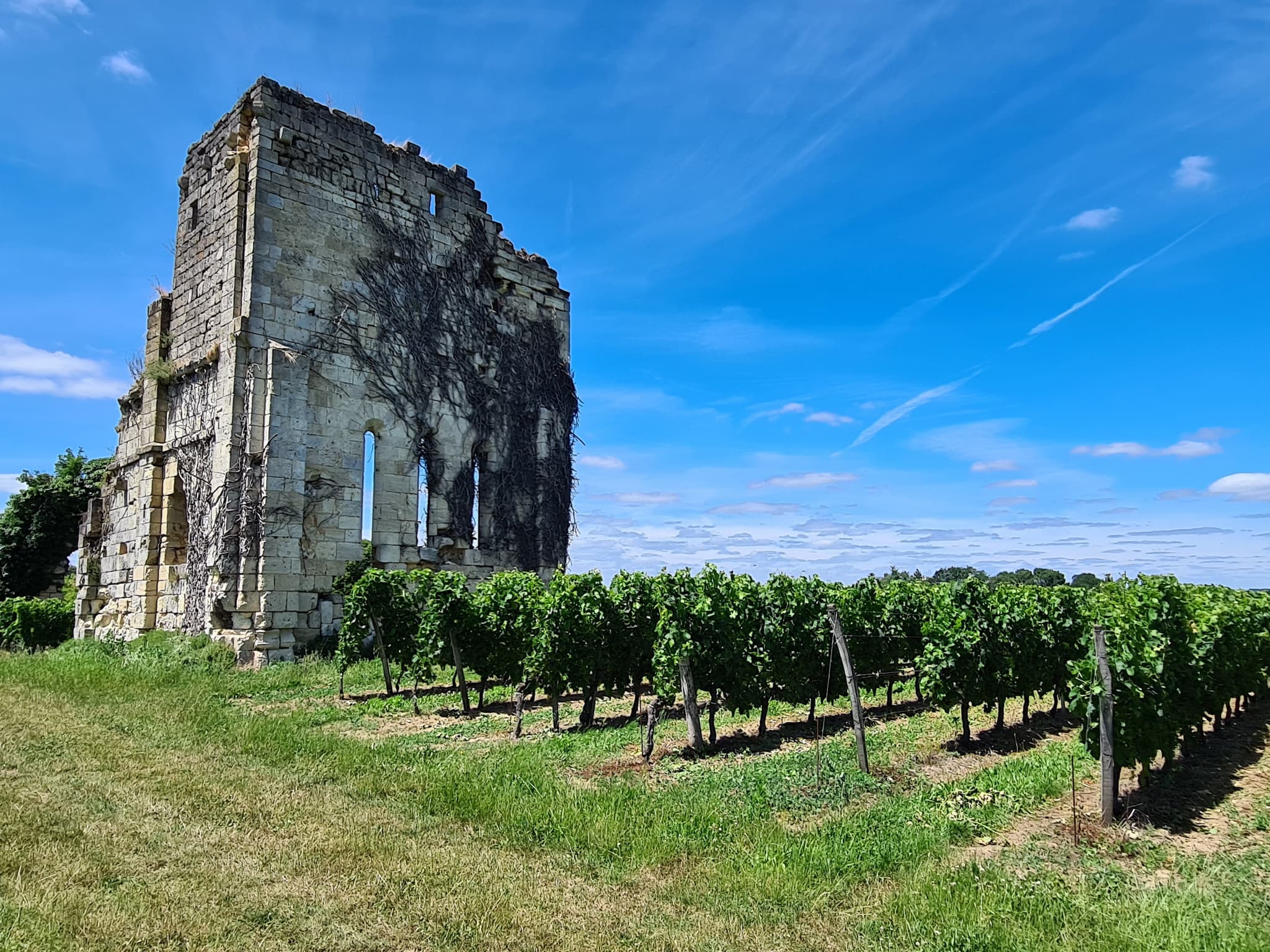 VIGNOBLES GABARD - Queynac