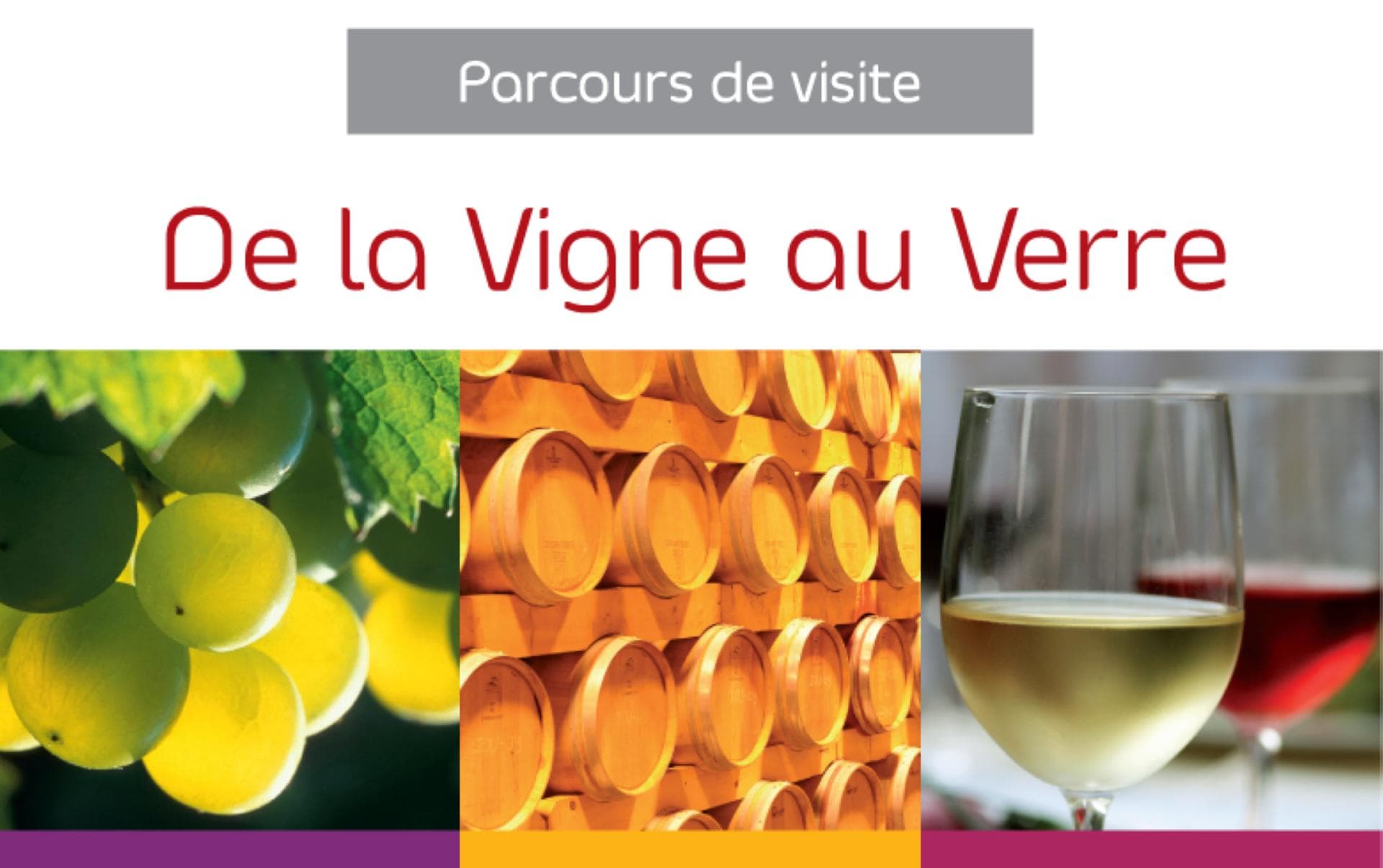 1- Les-vigneronsde-tutiac