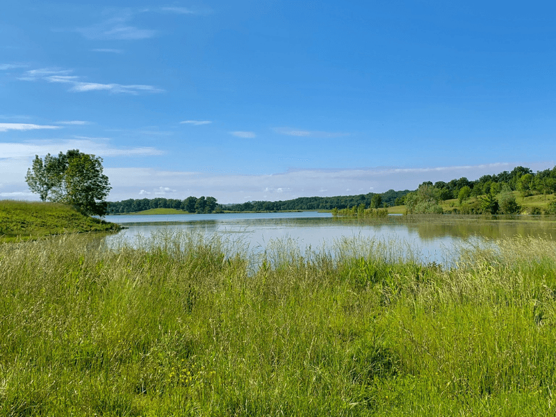 Lac du Brayssou